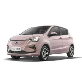 Changan BenBen E-Star 2023 Dongxin Version